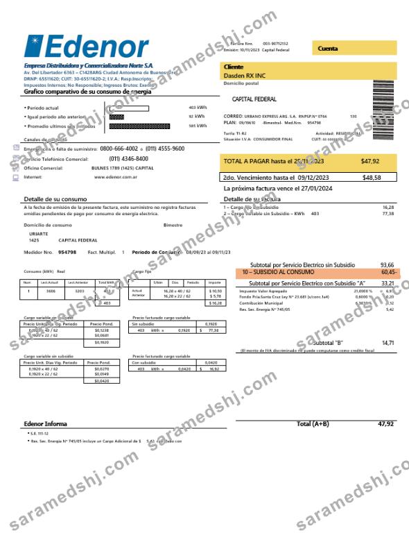 Argentina Edenor easy to fill business utility bill template in Word  and PDF format